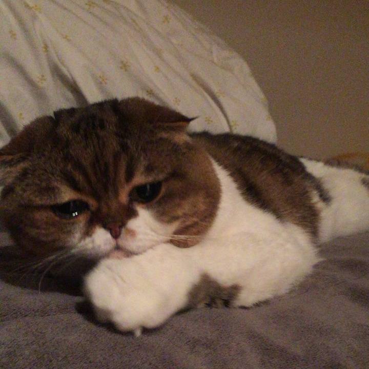 643a15a1 bc97 4ef7 840e 088a893c5a40