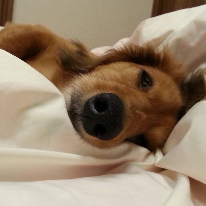 643a5cb0 09ba 40a4 9815 d174e6505fc6