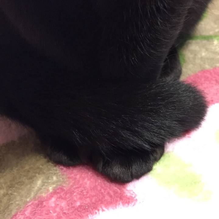 643a84a8 463e 4302 ac19 a7e80ed4abf4