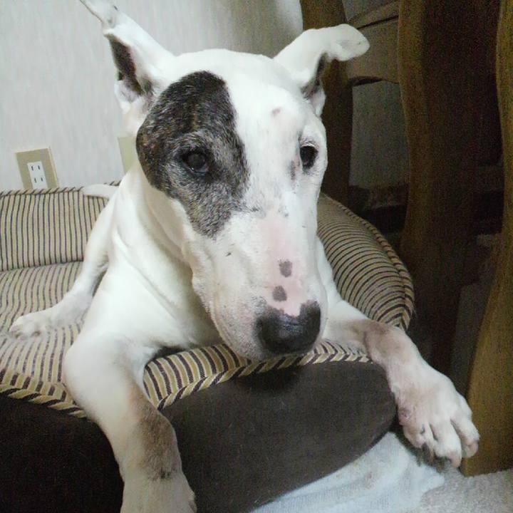 643af203 cf12 444b 81db 068a70848689