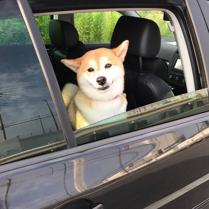 643b356e 27a6 405f aadb 49df7b307e0d