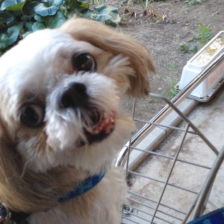 643b3707 4a77 42fc 83df cbd0479e8679