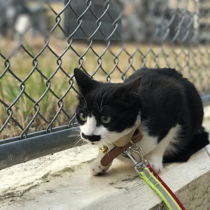 643b6327 1802 48e8 a82d 74bbb6adaf22