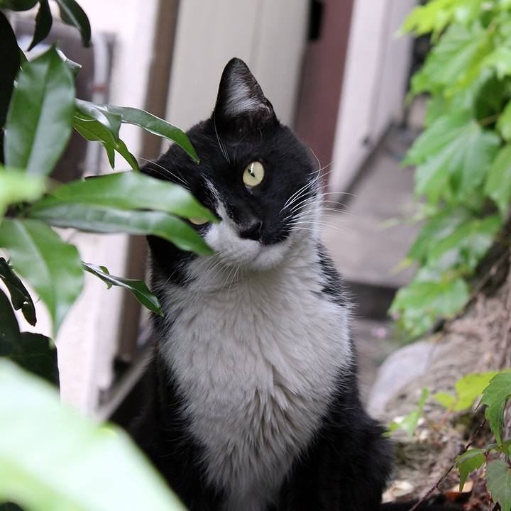 643ba562 f2e5 44e5 8b1a 4e692d1d7ace