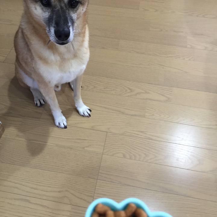 643bad14 ec48 4baa 9c25 613052af3231