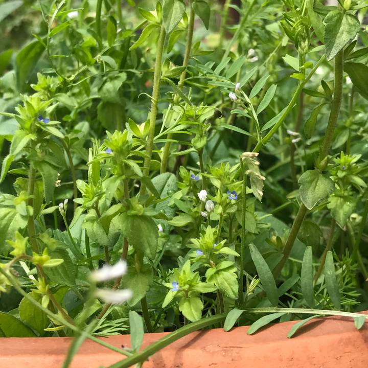 643c1d0a 541a 4379 ac15 e17261f5d85f