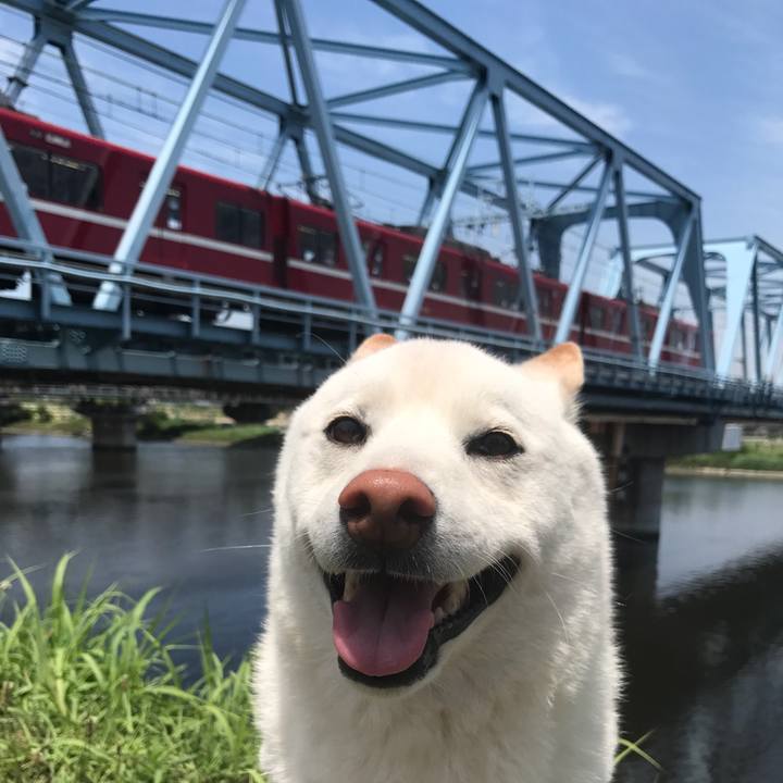 643c2a25 57ee 4f9b bd48 b0c150db8311