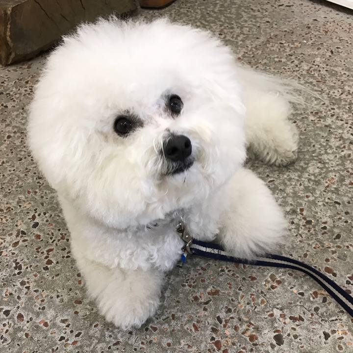 643c79bf 726c 4831 ba95 d382c8d9aa60