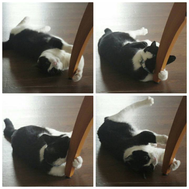 643ca2fb 6545 4a63 a210 d804767bb3c7