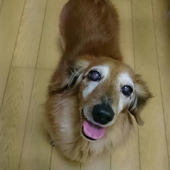 643d0576 8553 45b5 81b3 275e3b4f2d9a