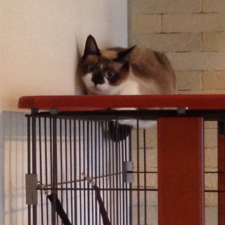 643d504e b3d3 4042 b808 391c9337ec61