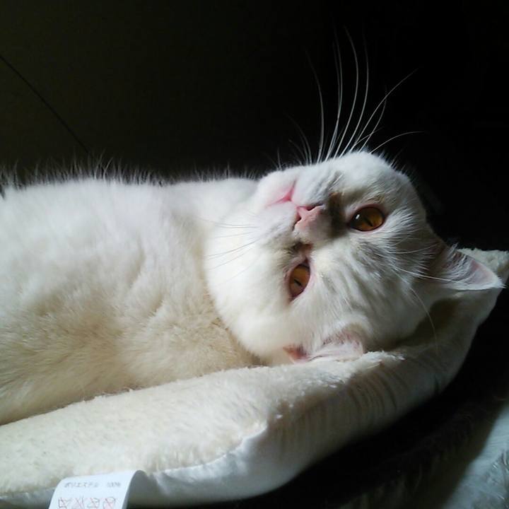 643d7d7c 994c 4e12 828f d9371b2ab6d5