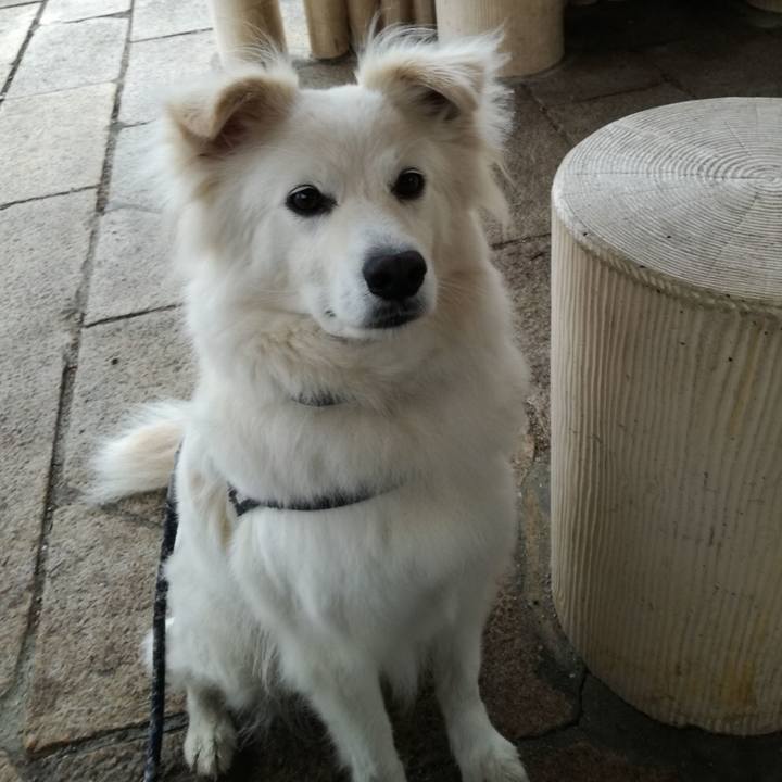 643d884b c4e5 4985 804f 5ae7445c6042