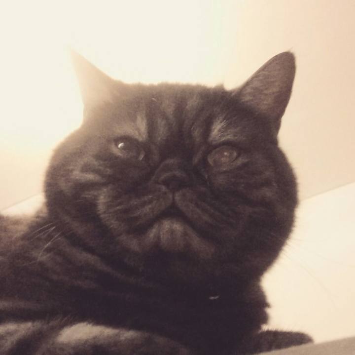 643d9249 d842 48ae 8eba 37f557b3f7d1