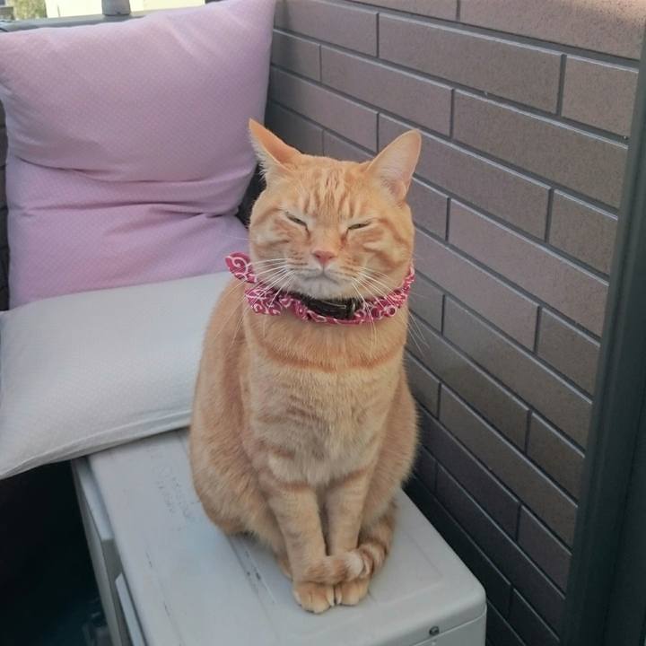 643d9e53 2b12 4dcb 95e1 026858048b5f