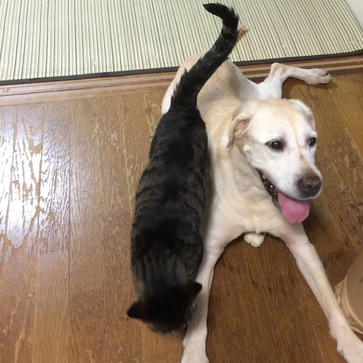 643db252 08e4 4f2a ba72 564752c1cded