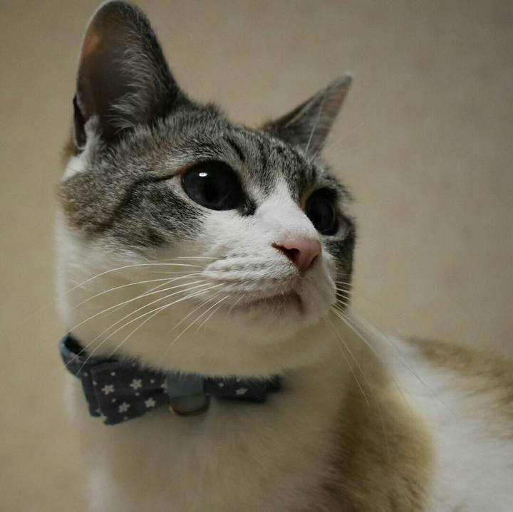 643e50fb aca2 4b43 a265 9c462e025011