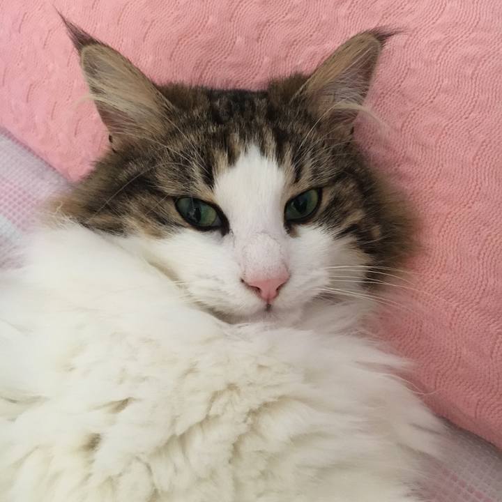 643e973c 3ade 4214 828c 7509e5f18473