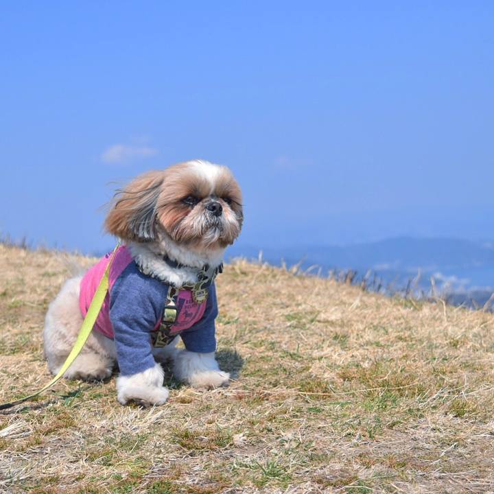 643f1d0d ea99 4fdb 8c37 d100cf0c710b