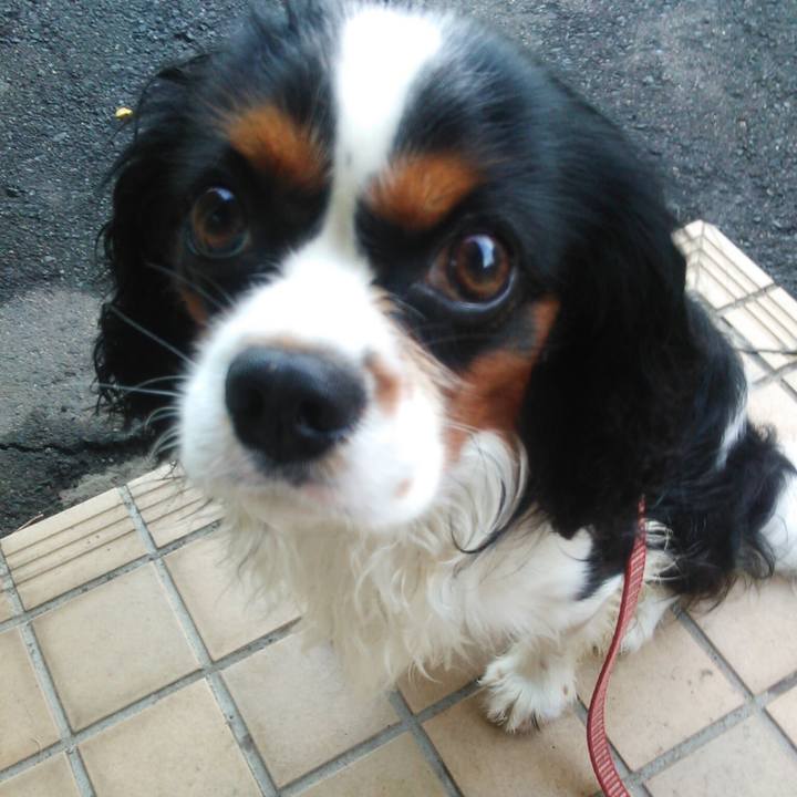 643f4c96 6ba8 44db 8f17 ee85211583a3