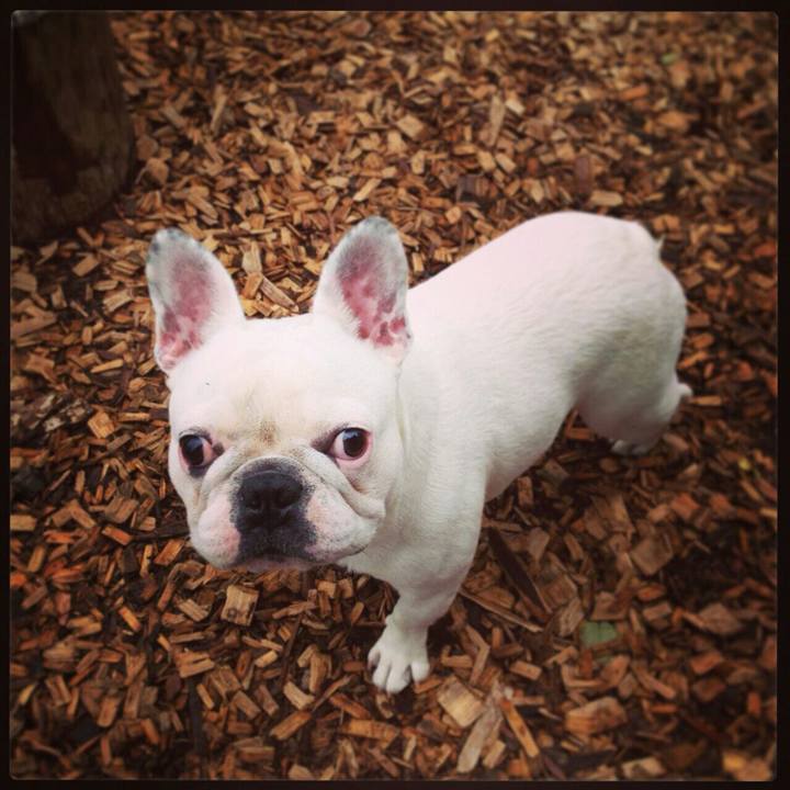 643fa1a7 8e64 4054 8cef 968929b89ec3