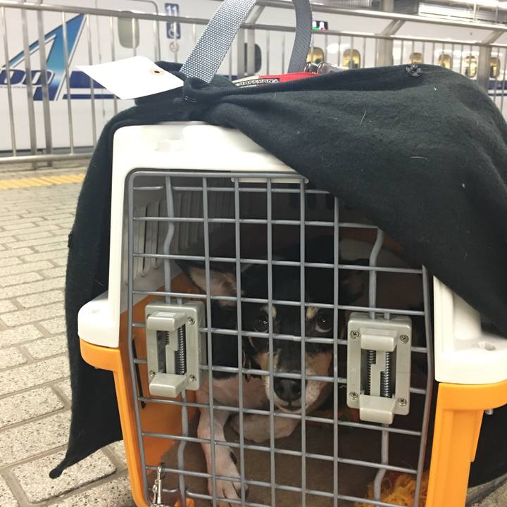 6440134c 1130 422c b190 d5a37603d005