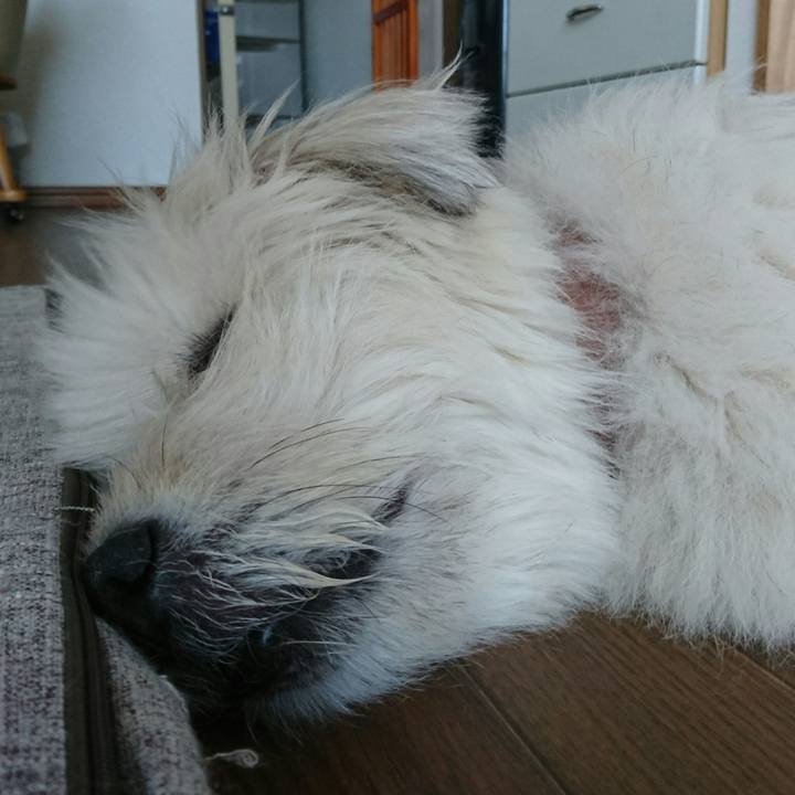 644038b7 5f6c 4d57 9dab 6fe98c8977ab