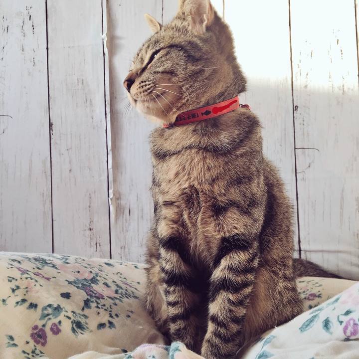 6440aba2 b76b 4f21 af70 26705e9ef85c