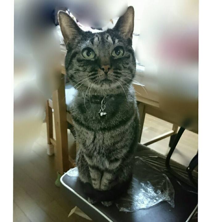 6440d617 a6bc 4d2a 886e e47998b6de7e