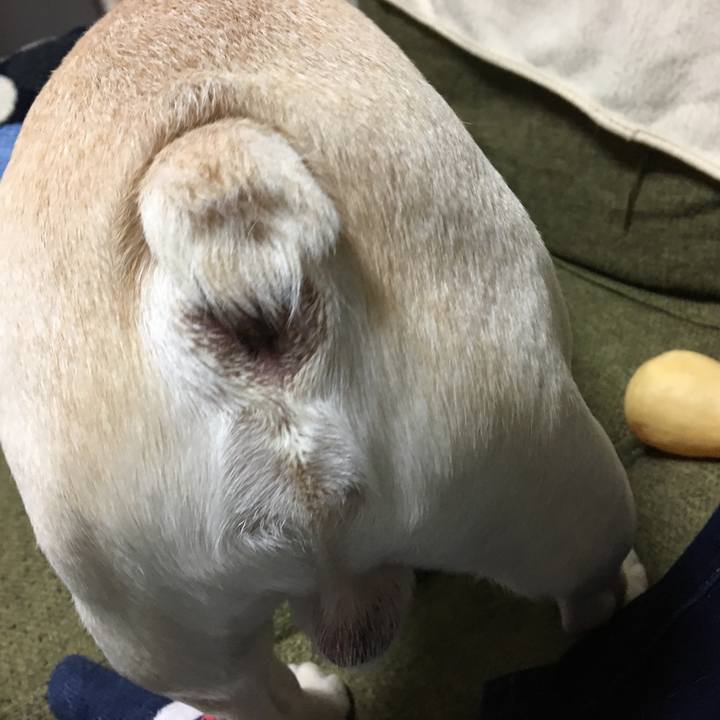 64423296 2b63 4f57 a184 ddea3a83bb2c