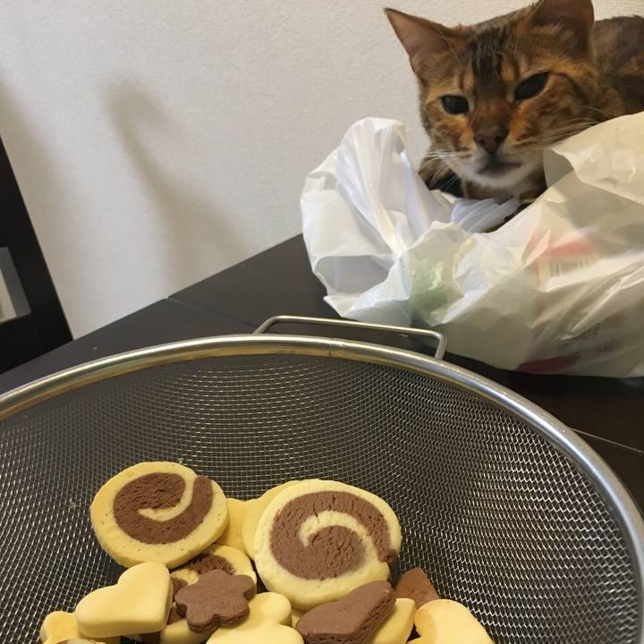 64424973 1620 44ec a05d e0b9a650c5e3