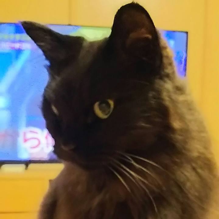 64427763 8825 4492 84eb 241a682964e2