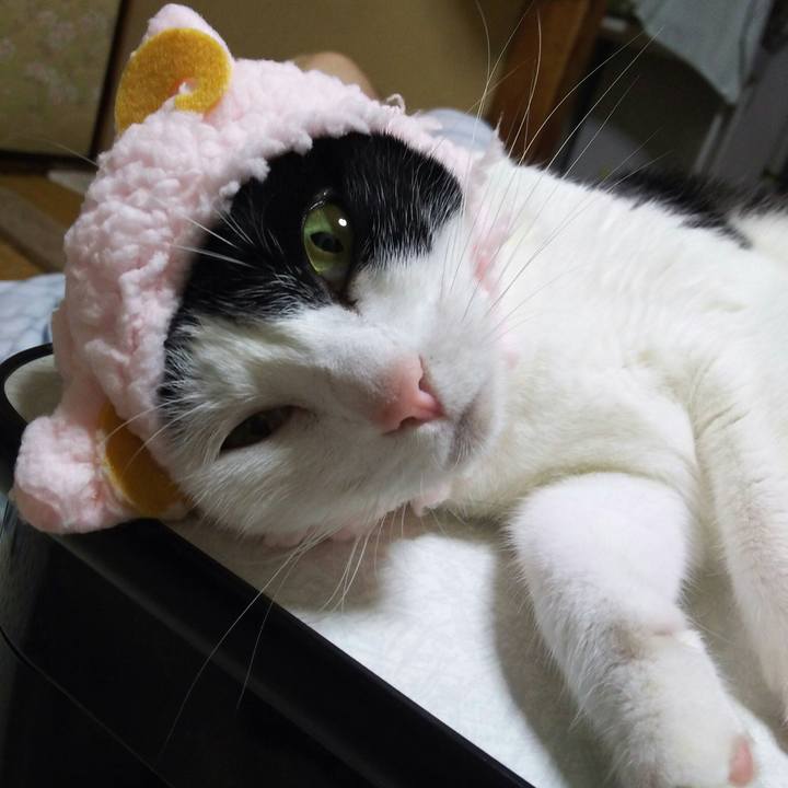 6442ac97 9f3a 4ea2 bbfe 514ffe9cd569