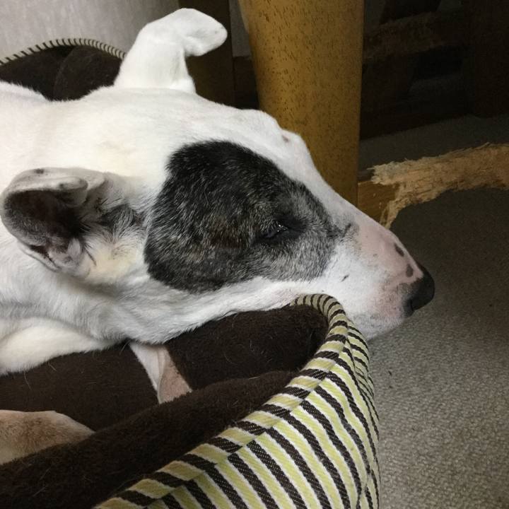 6442ad03 5615 4736 b24c ecdb322fab80