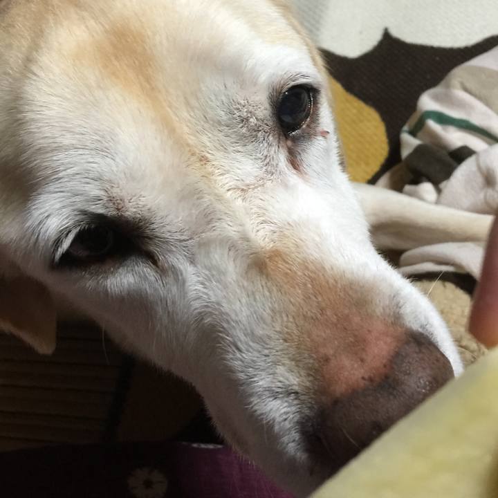 6442e445 3153 4744 b9a6 0826af248928