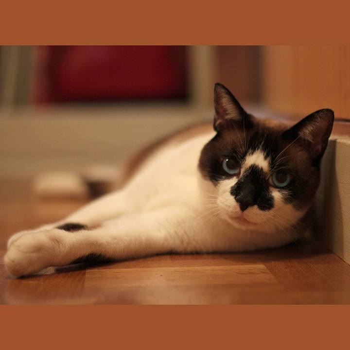 64431dce c8c6 456b 9ab2 d6f71386d83a