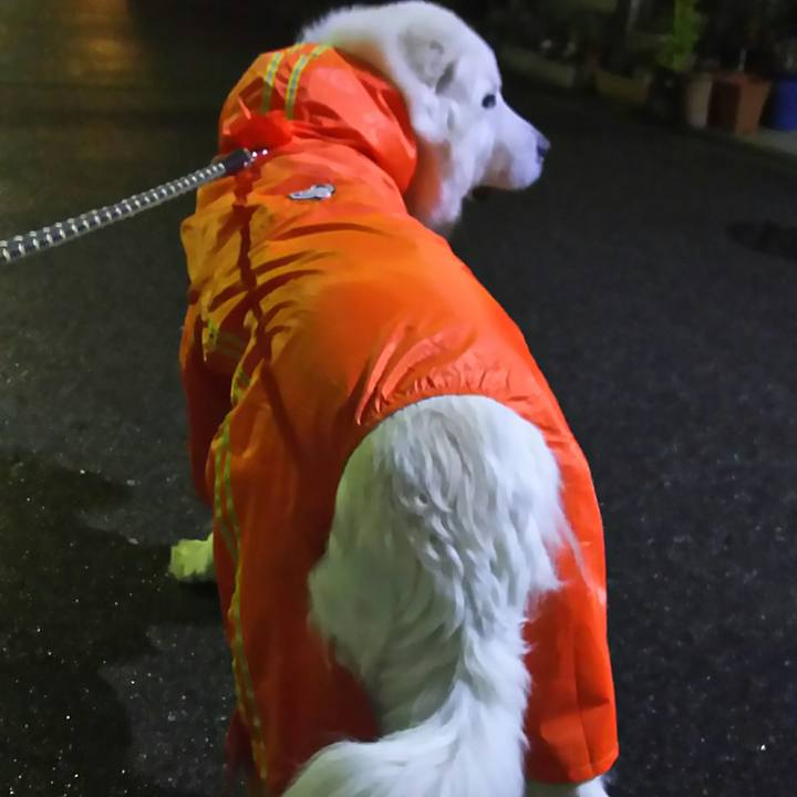 6444a3db b081 4e2e 8206 ec3b992487a3