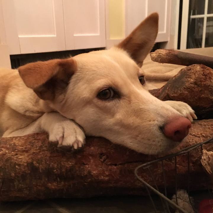 6444a613 7a7a 457e bdd3 d1a55d1b264c