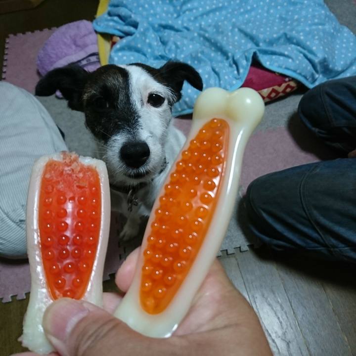 6445409b 37c0 4f54 84da 14abbf5ad3dc