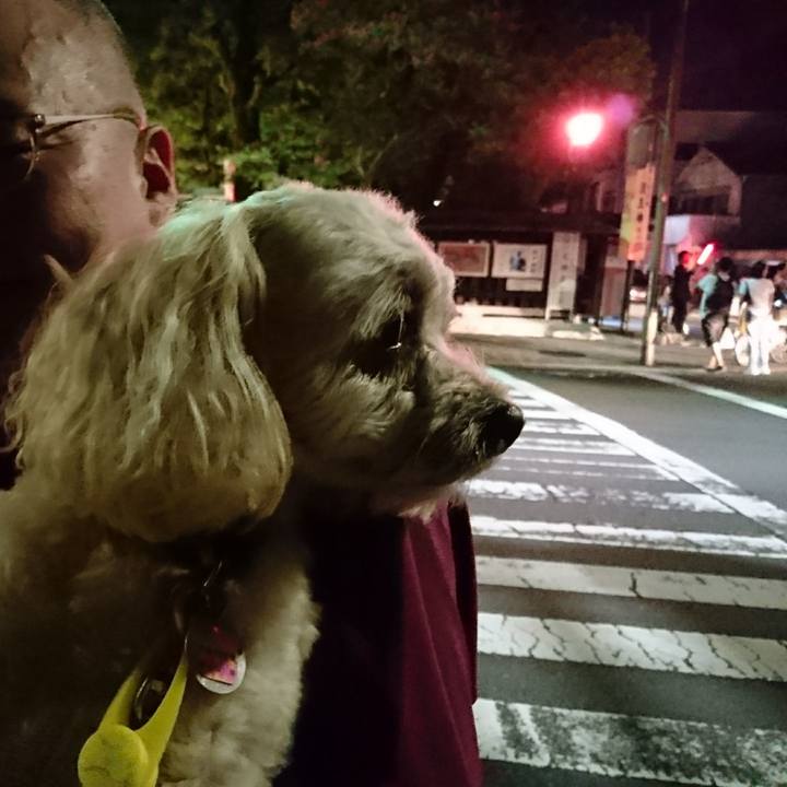 64459ebe b321 4354 a2a6 9d35f589f1cd