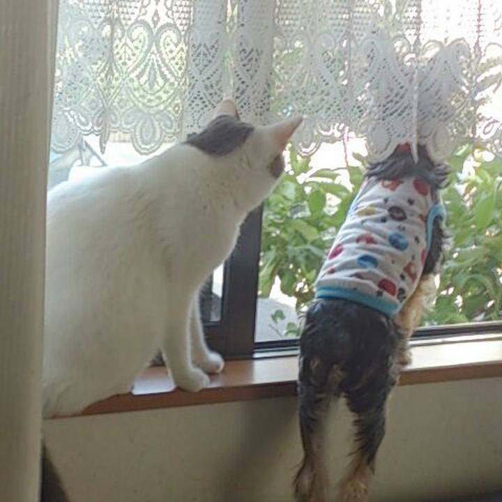 6445b478 1f0a 44d1 958b d3059e2692b2