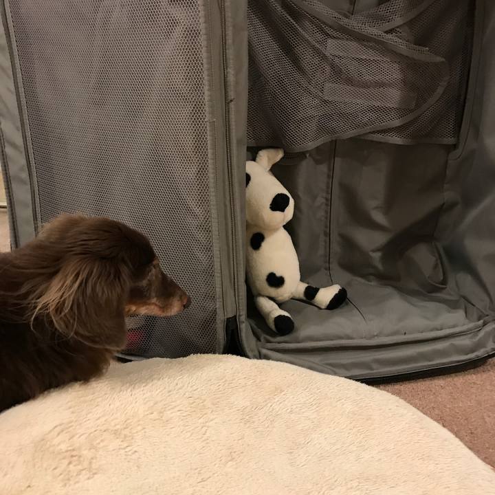 6445bf2d 1848 476c 91c2 5606711515c5