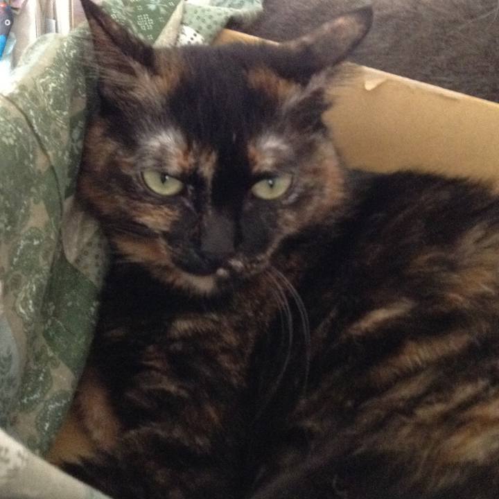 6445dbae 6c3d 4669 bfce b6aa44712ee3