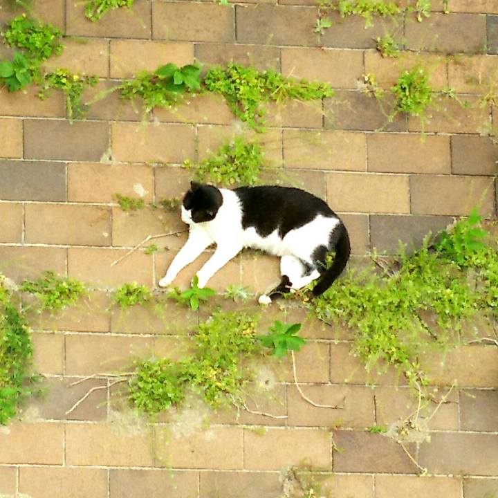 6445e0c5 fc95 4bfb aed0 83c66765db72