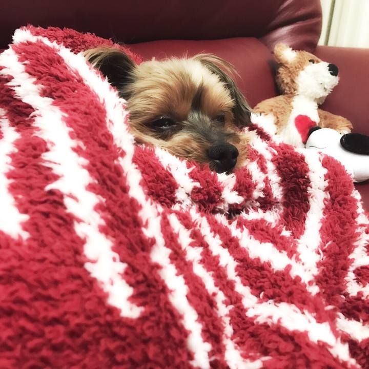 64461628 ef6b 4642 9326 e341a9df9cb8