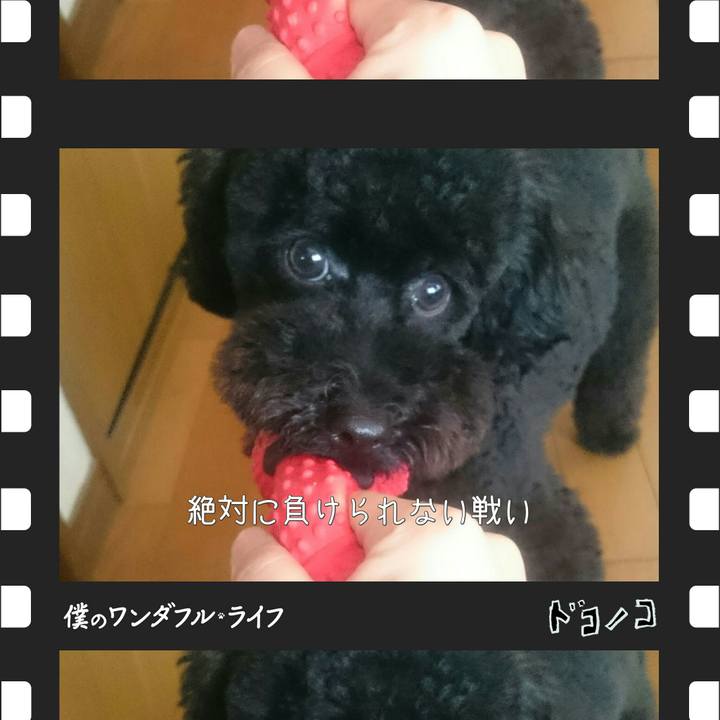 64463ad8 b09d 4e53 aa27 10863fcb1b6b