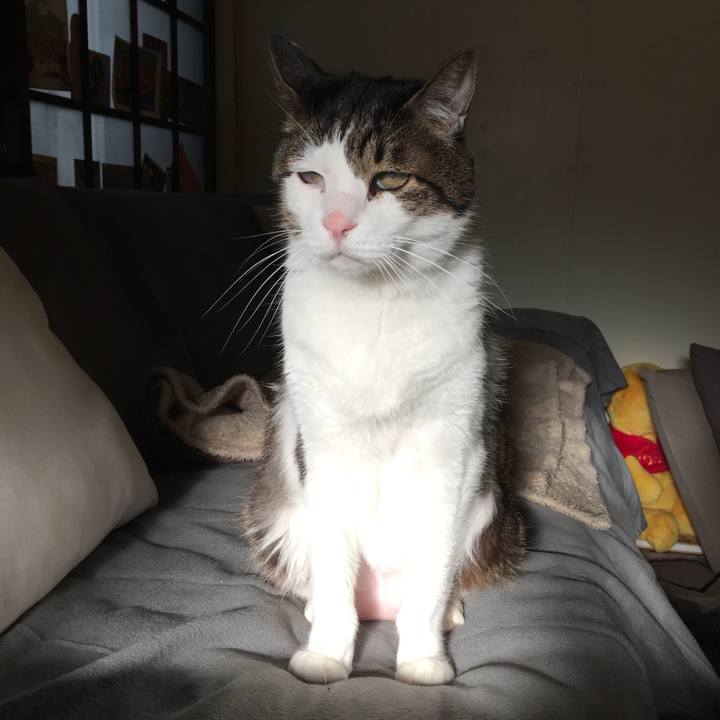 64467a9b a900 4128 997b 5283a6d0ff19