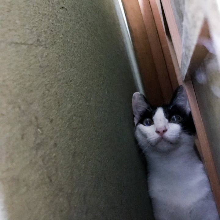 64475f9a c8c8 4246 8cd8 6a5d3a1e2042