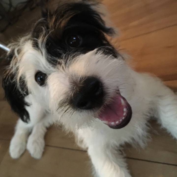 644889f2 7e08 4df6 aca8 e3304b3c122a