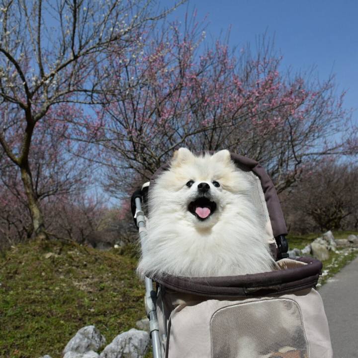 64493c37 031e 4430 9263 49eeb0d0db51